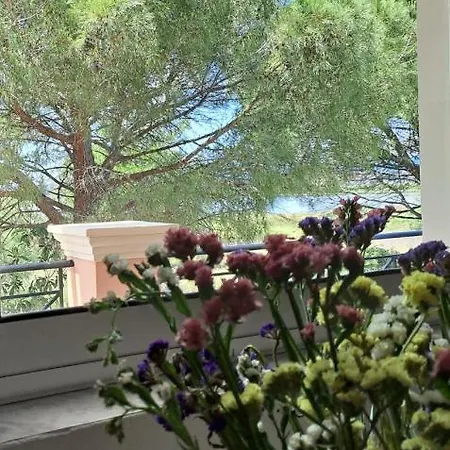 Appartement Maison Du