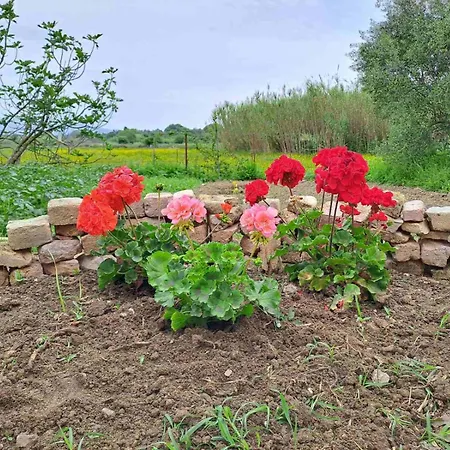 Maison Du Apartament *